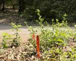 0 Platt Mountain - Photo 3