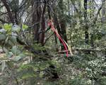 0 Platt Mountain - Photo 5