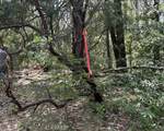 0 Platt Mountain - Photo 6