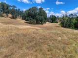 2447 Hartley - Photo 13