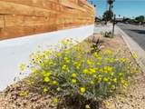 3940 Calle San Antonio - Photo 43