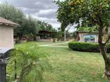 427 Maple - Photo 15