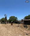 427 Maple - Photo 34