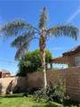 82779 Matthau - Photo 33