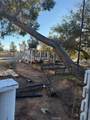 16100 Navajo Road - Photo 37