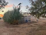 16100 Navajo Road - Photo 10