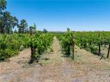 175 White Hawk - Photo 16