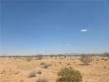 1 Venus - Photo 3
