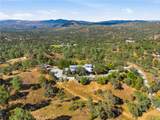 41819 Lilley Mountain Drive - Photo 48