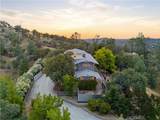 41819 Lilley Mountain Drive - Photo 49