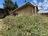 5151 Jones Street - Photo 35