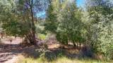 3631 Guadalupe Creek - Photo 17