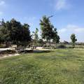 1205 Paseo Sea Cliff - Photo 45