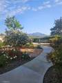 44055 Calle Luz - Photo 33