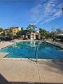 44055 Calle Luz - Photo 35