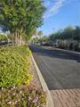 44055 Calle Luz - Photo 41