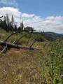 4631 Dear Abby - Photo 13