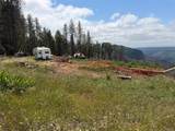 4631 Dear Abby - Photo 16