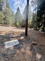 4631 Dear Abby - Photo 3