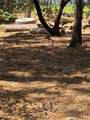 4631 Dear Abby - Photo 5