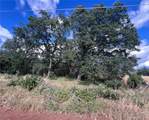 0 Manton School Rd - Photo 9