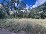 0 Manton School Rd - Photo 10