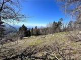 41 Fredalba - Photo 3