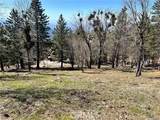 41 Fredalba - Photo 5