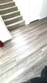 35357 Hutchison Place - Photo 10