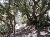 0 Holcomb Creek - Photo 10