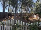 24362 Woodwalk - Photo 12