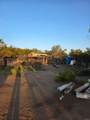 49 Brown Rocky - Photo 1