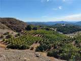 3 Via Vaquero - Photo 14