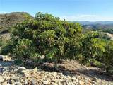 3 Via Vaquero - Photo 19