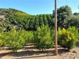 3 Via Vaquero - Photo 38