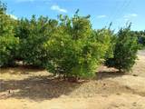 3 Via Vaquero - Photo 5