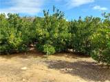 3 Via Vaquero - Photo 8