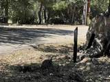  Harrison Park - Photo 13