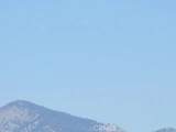 28 Fremontia - Photo 12