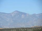 28 Fremontia - Photo 13