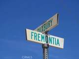 28 Fremontia - Photo 3