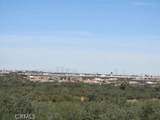 28 Fremontia - Photo 8