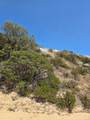 789 Crazy Horse Canyon - Photo 2