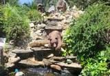 5021 Watt Road - Photo 13