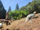 5021 Watt Road - Photo 17
