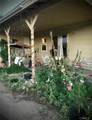 112 Heim - Photo 2