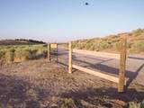 0 Munz Ranch - Photo 9