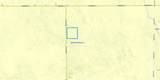 0 20th - Photo 4