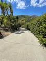 1361 De Luz Road - Photo 14
