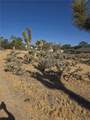 6388 Goleta - Photo 3
